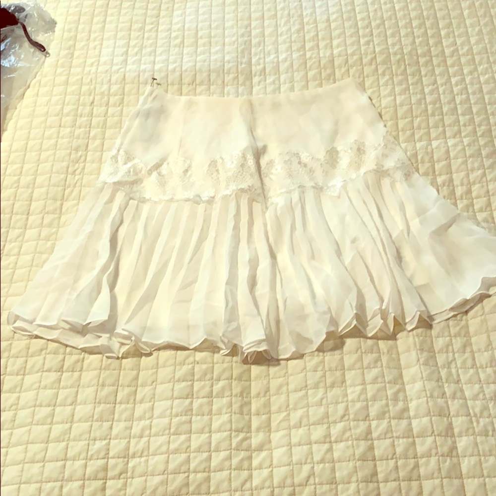 Express skirt
